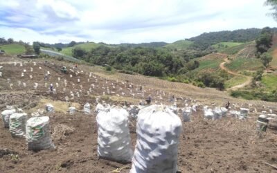 Ministerio de Agricultura activó plan de emergencia para garantizar abastecimiento de alimentos