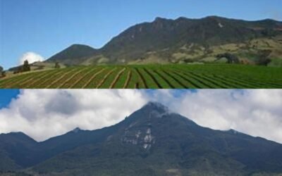 Anuncian cierre de los  cerros Las Palomas y La Vieja para preservar ecosistemas